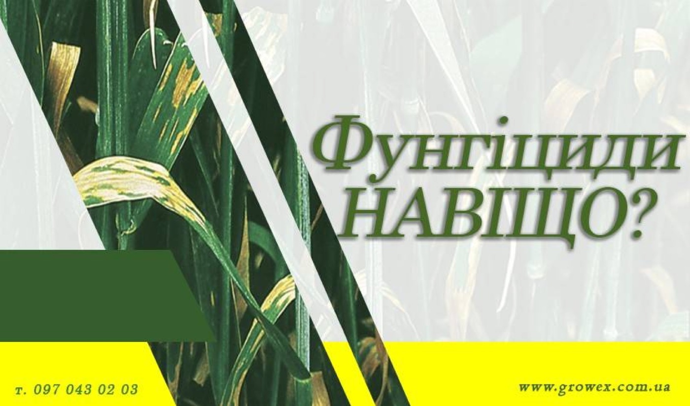 Фунгіциди - для чого потрібні?