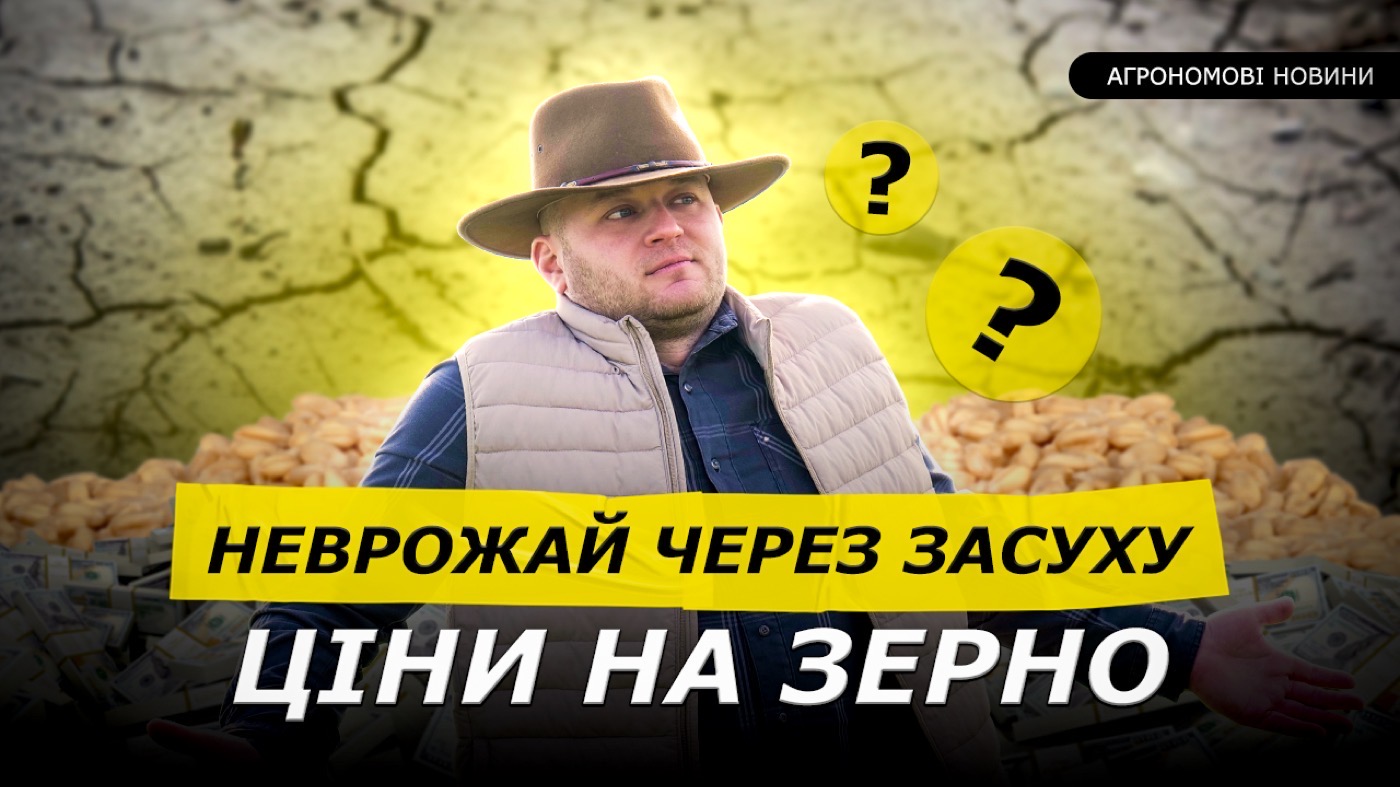 СОНЯШНИКА НЕ БУДЕ! ПОСУХА І САРАНА. В ПОРТУ ОДЕСИ НОВИЙ ВЛАСНИК. ТРЕЙДЕРИ РАХУЮТЬ МИТО НА РІПАК