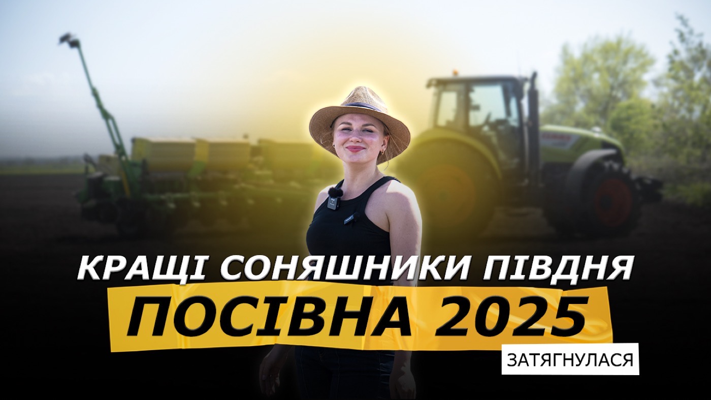 Посів соняшника 2025: три технології, дев’ять гібридів і весняні проблеми