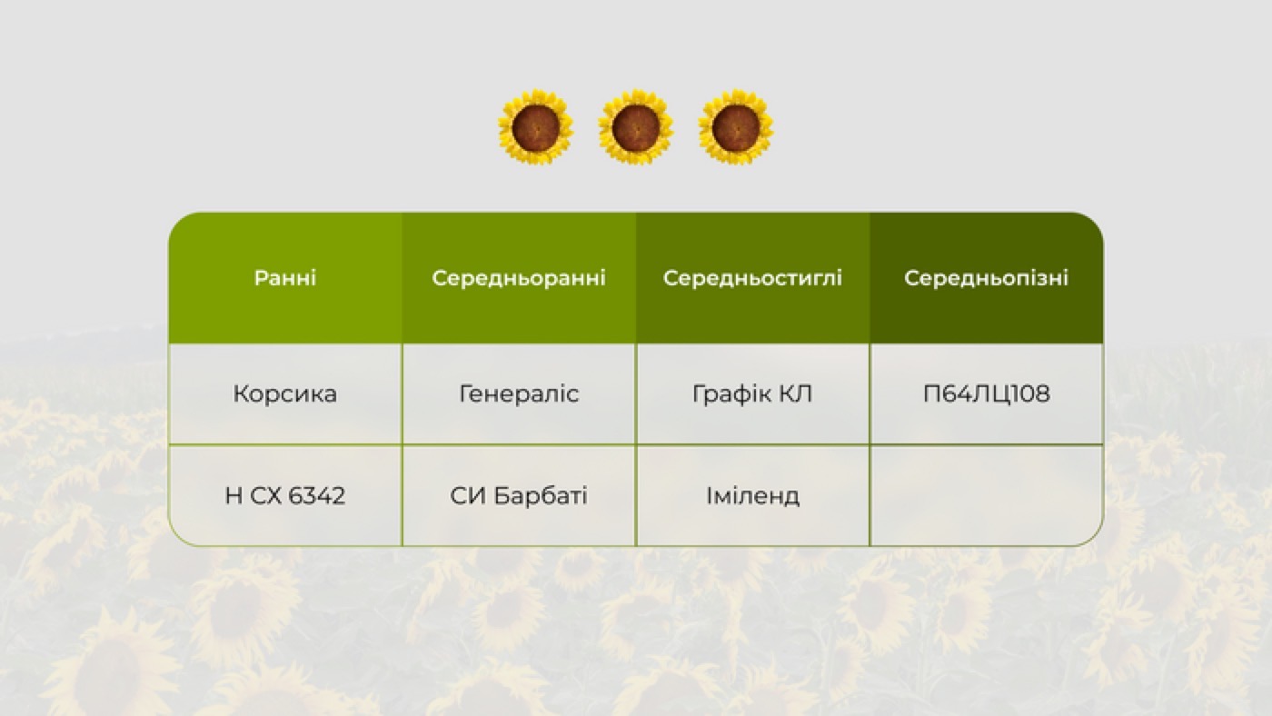 Вибірка гібридів під технологію Clearfield, поділені за групою стиглості.