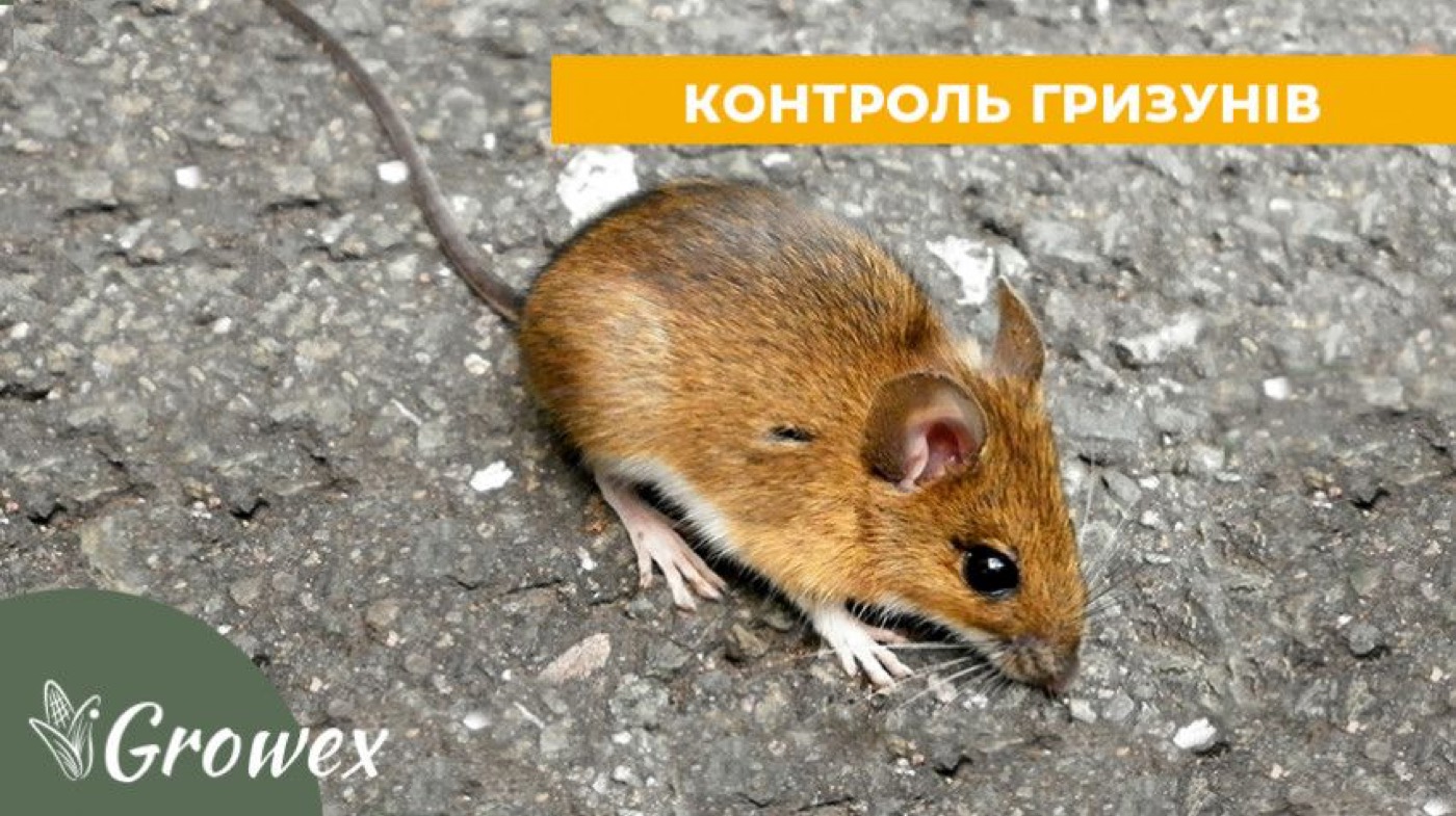 Способи контролю мишоподібних шкідників