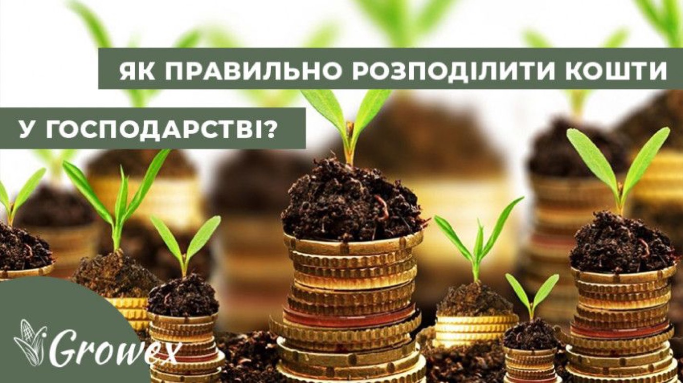 Організація коштів у фермерському господарстві
