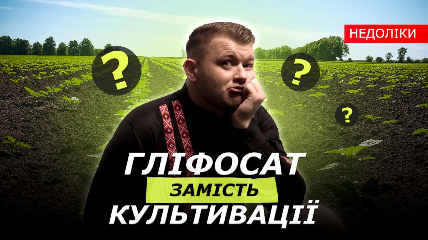 Кейс з поля: чому на чистому полі знову з’явилася берізка?