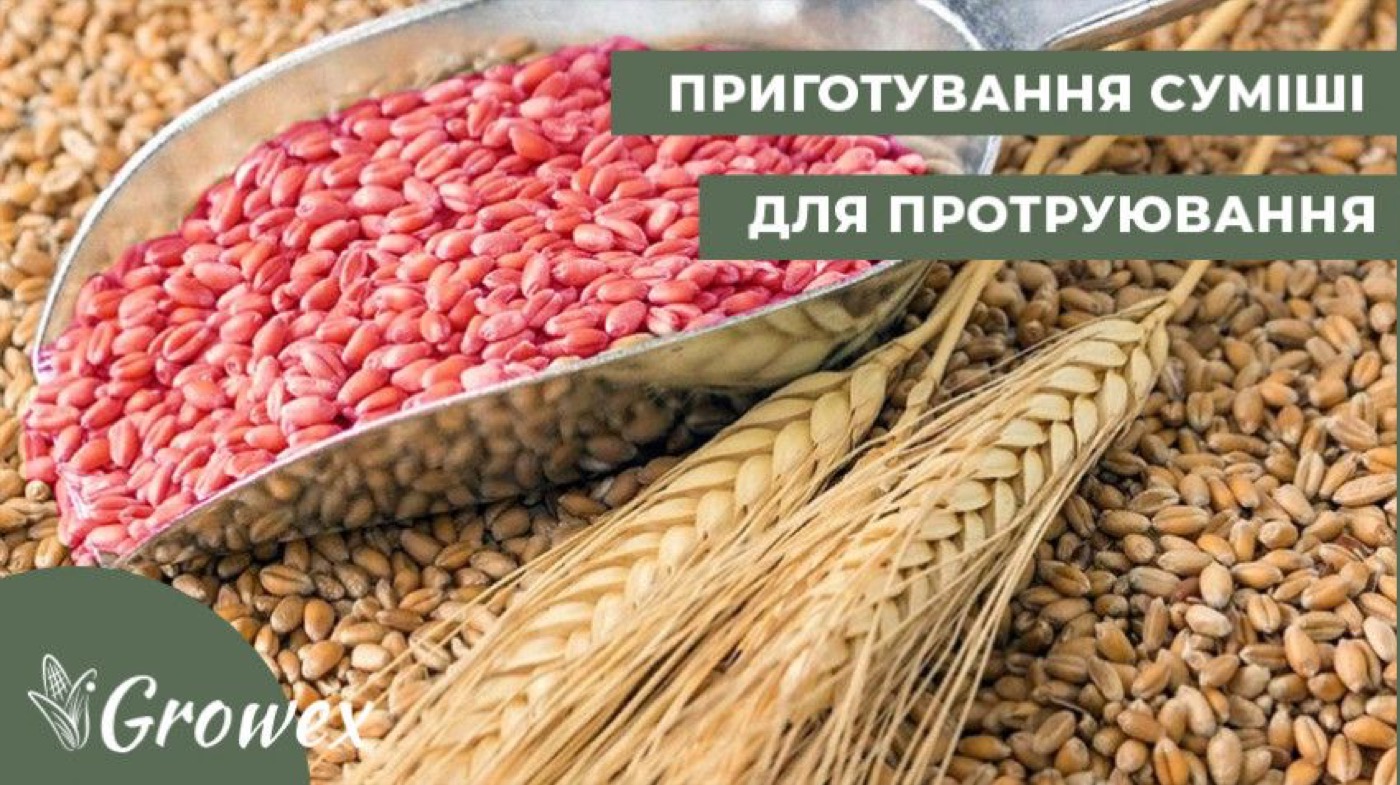 Протруювання: його типи, розрахунок норми та вимоги до насіння і препарату
