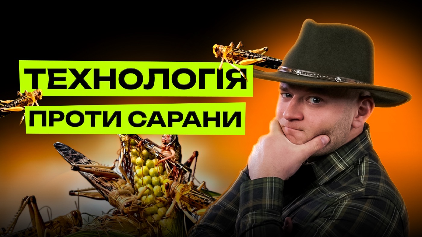 Сарана в Україні: загроза чи перебільшений «апокаліпсис»?