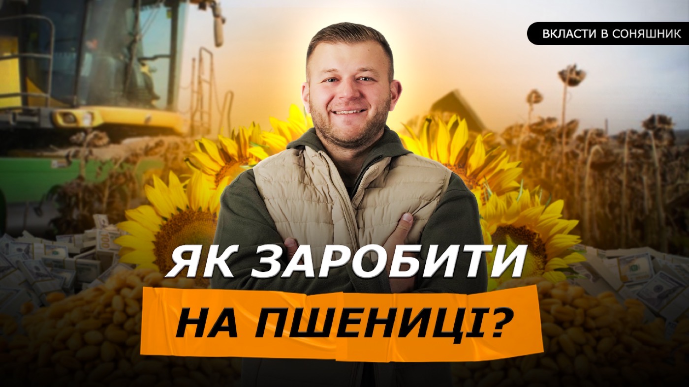 Як у серпні підготувати соняшник, щоб пшениця дала +10 000 грн/га у наступному році?