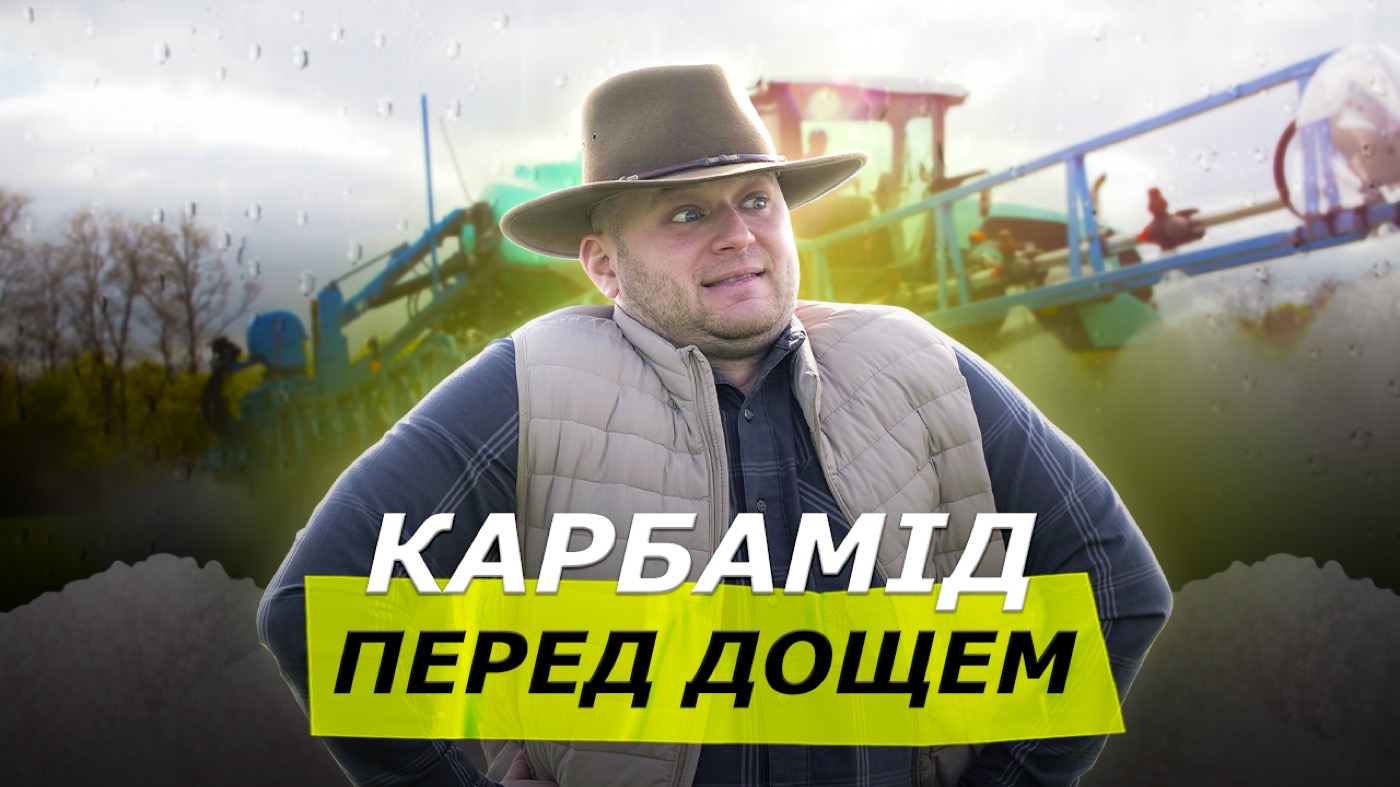 Карбамід перед дощем: вносити чи ні? Розбираємося раз і назавжди