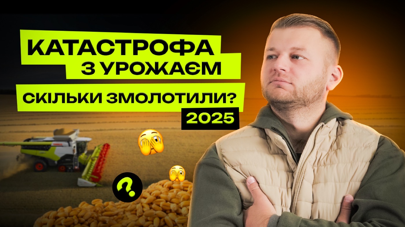 Засуха знищила 100 тис га пшениці. Що буде з цінами?