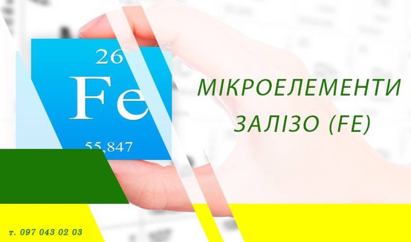 Мікроелементи. Залізо (Fe)
