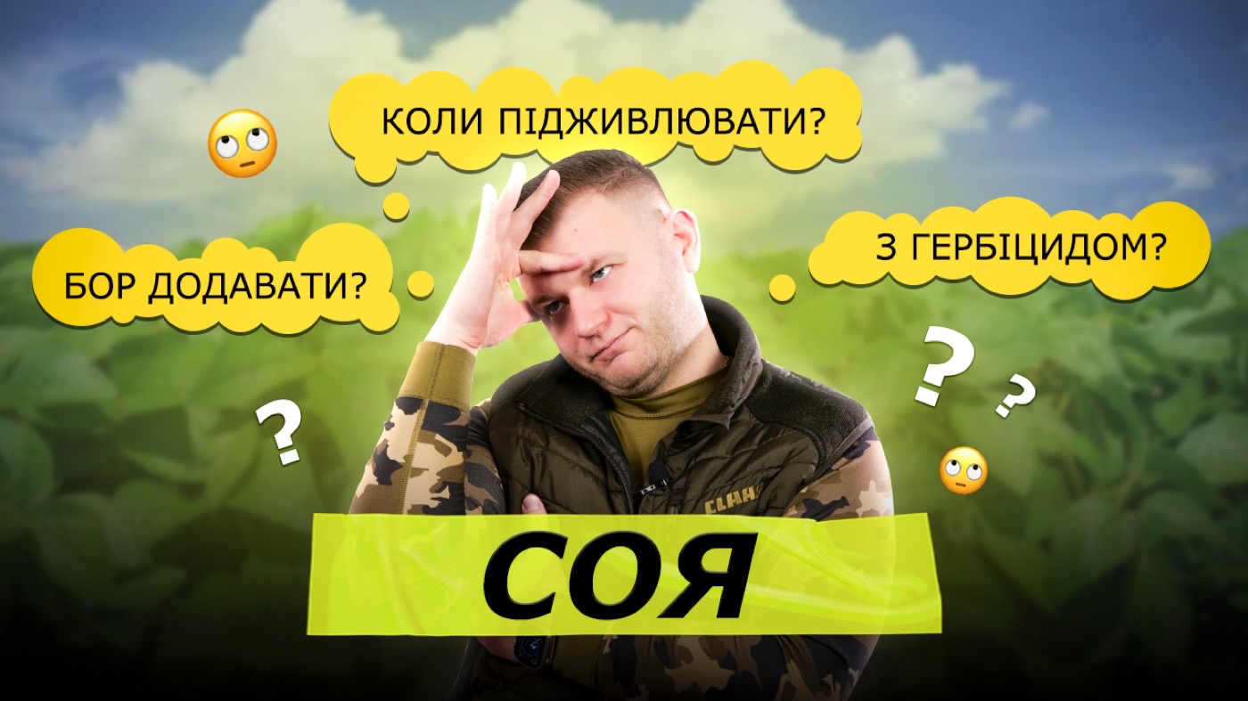 Особливості підживлення сої: як не нашкодити і отримати результат