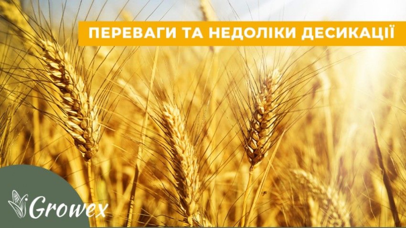 Десикація: за та проти