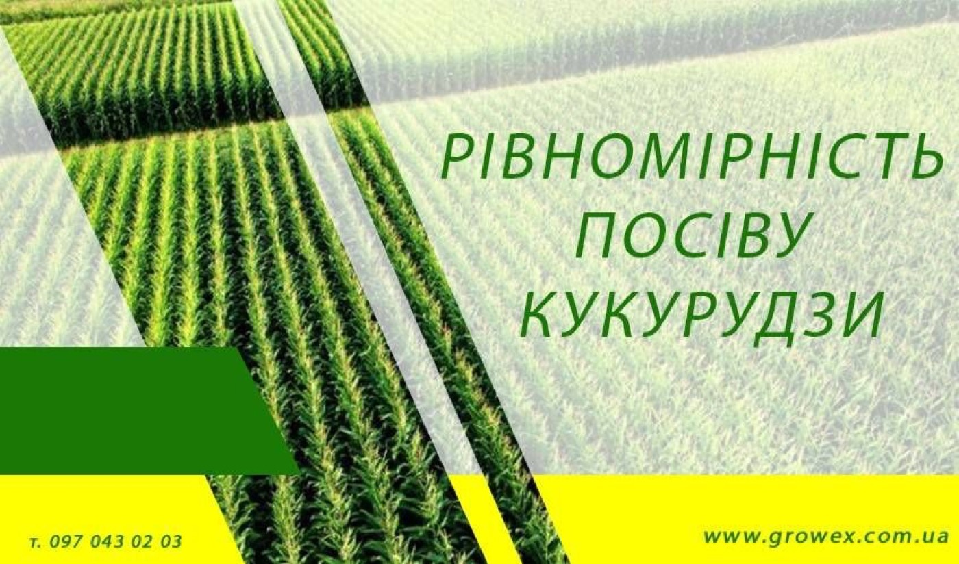 Рівномірність посіву кукурудзи