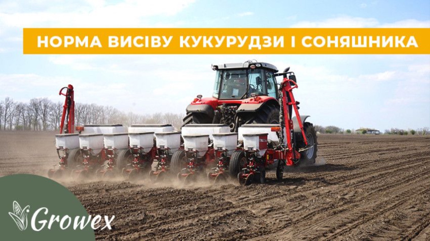 Норма висіву соняшника і кукурудзи