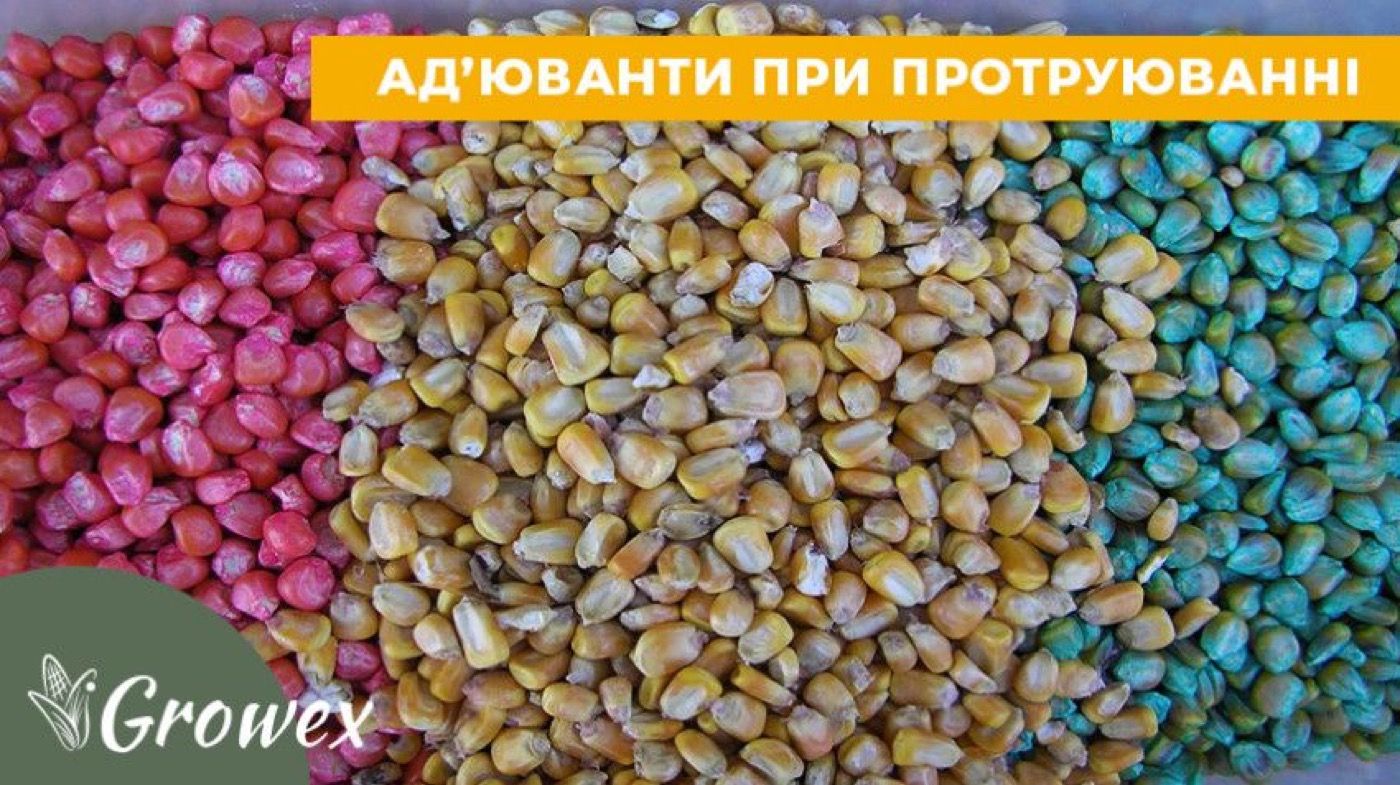 Протруєння з використанням ад’ювантів