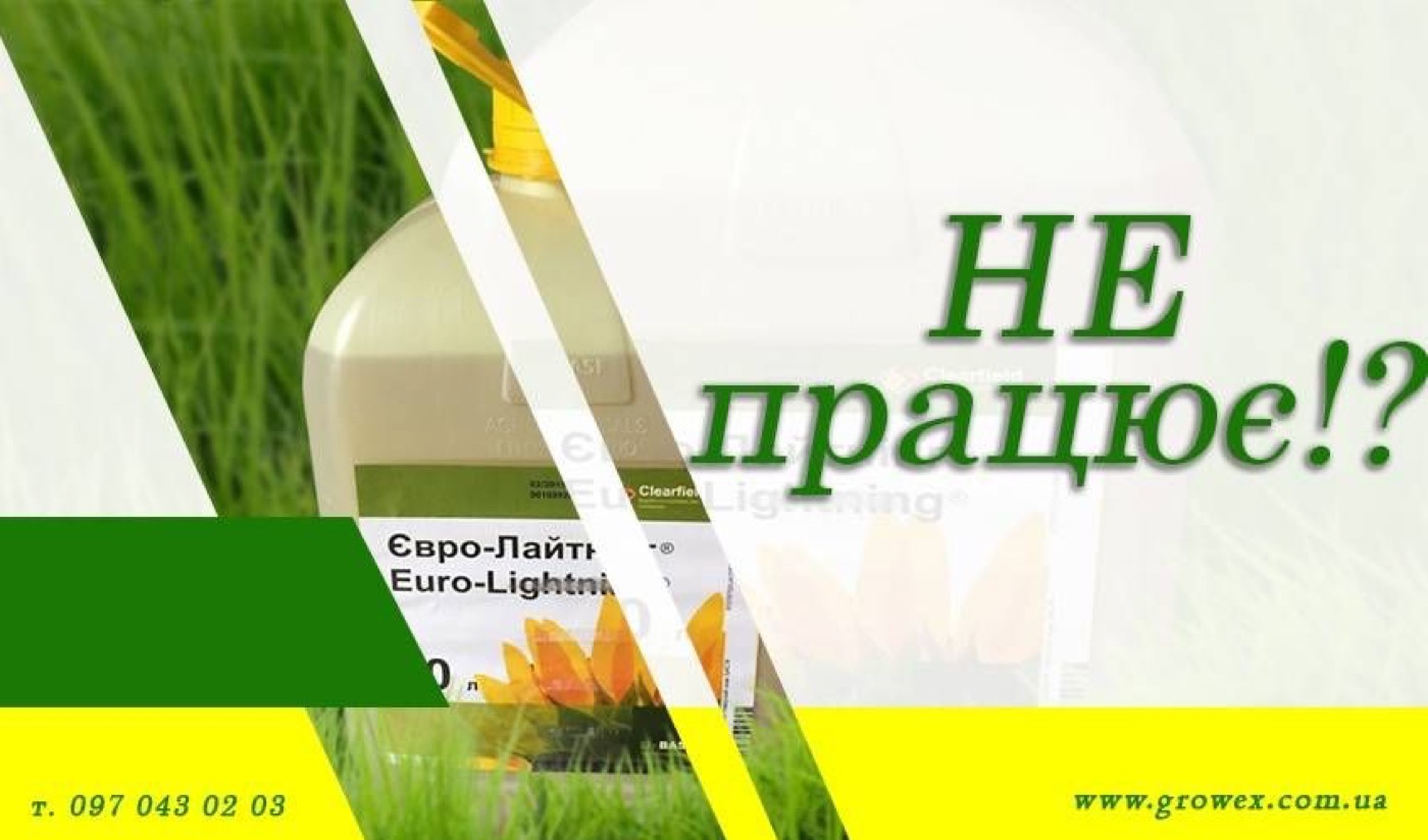 Агрофейл №2. Євролайтнінг не спрацював! 0,8 л/га і 2017 рік