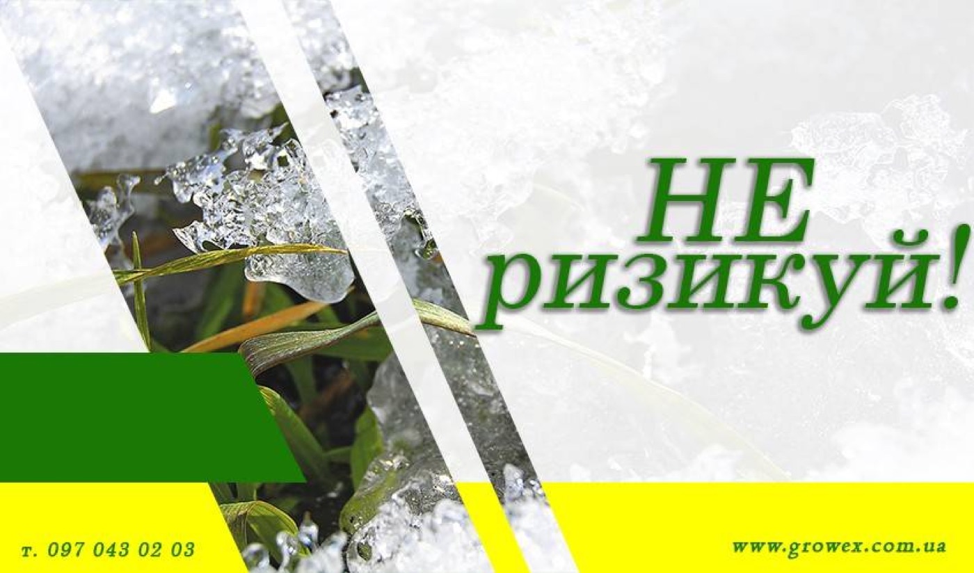 АгроНЯНЯ#4 Чи не пізно сіяти ячмінь?