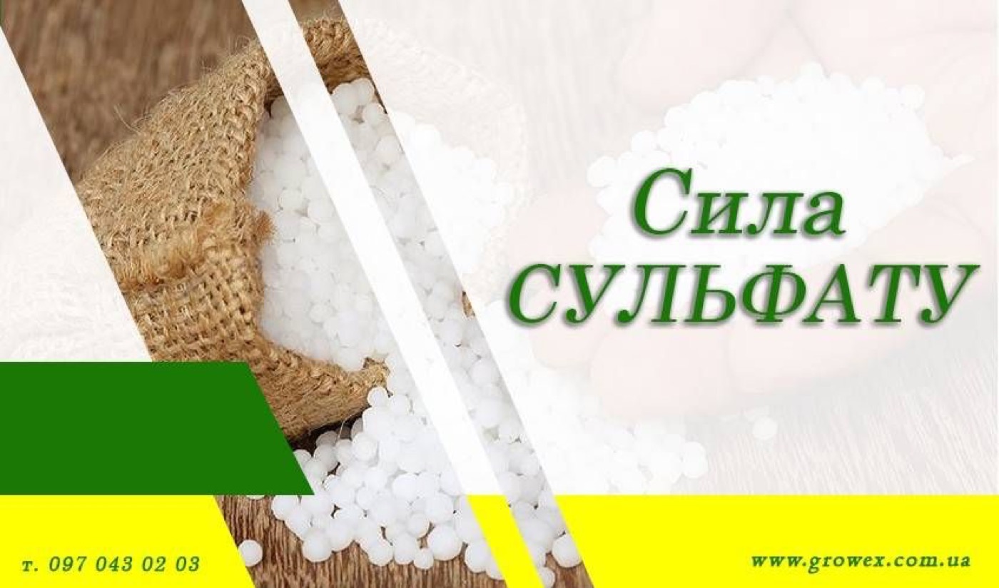 АгроНЯНЯ #9 Чи можна додавати сульфат амонію до гербіцидів?