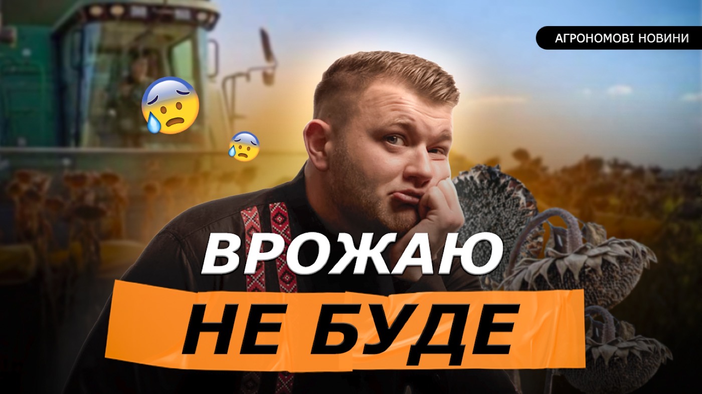 СОНЯШНИК ПІД ЗАГРОЗОЮ ❗ ПОЛЬЩА ПРОСИТЬ РІПАК. ЗАКОН ПРО СОЮ БУДЕ? РОЗПУСТИЛИ МІНАГРОПОЛІТИКИ