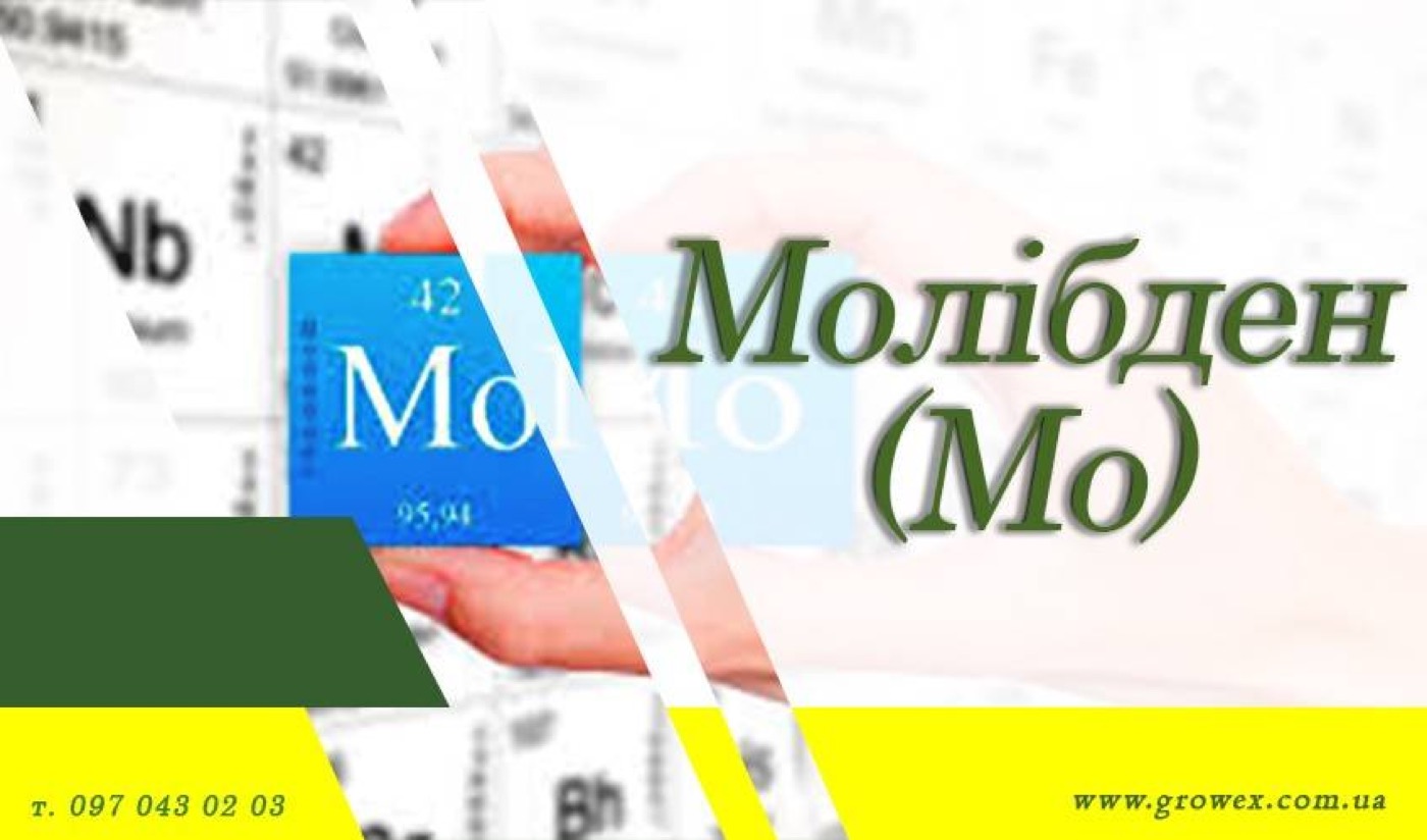 Молібден (Mo)