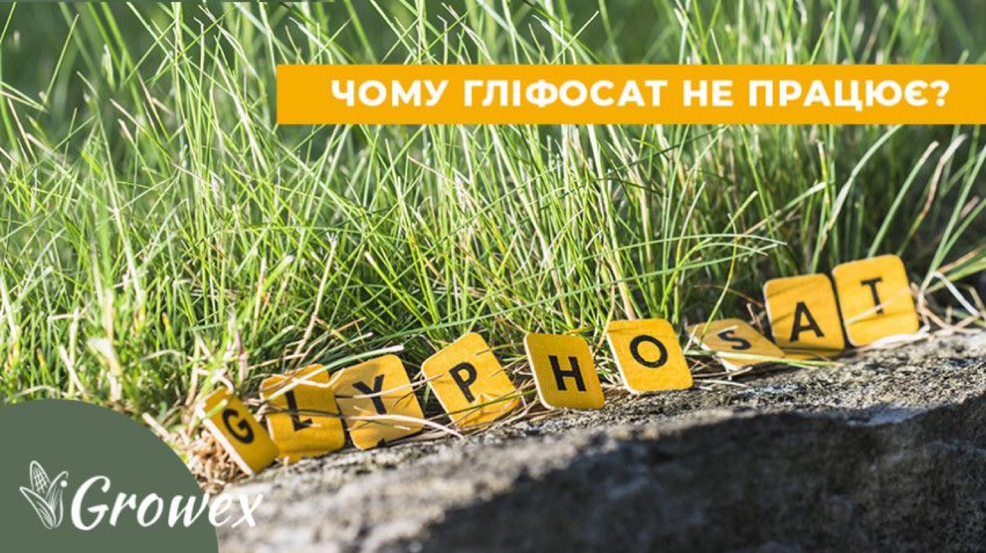 Що впливає на ефективність гліфосату?