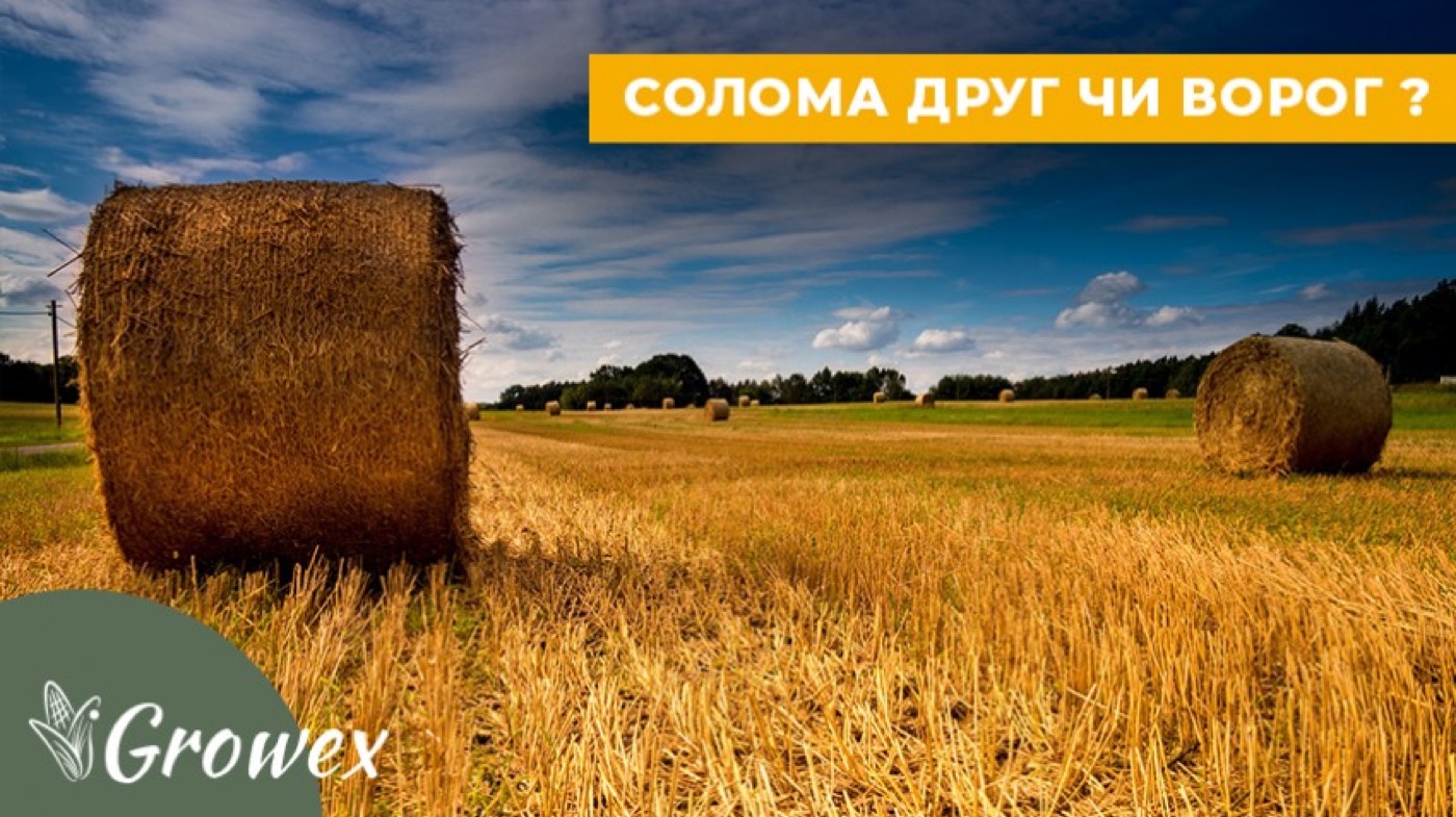 Солома - друг чи ворог?