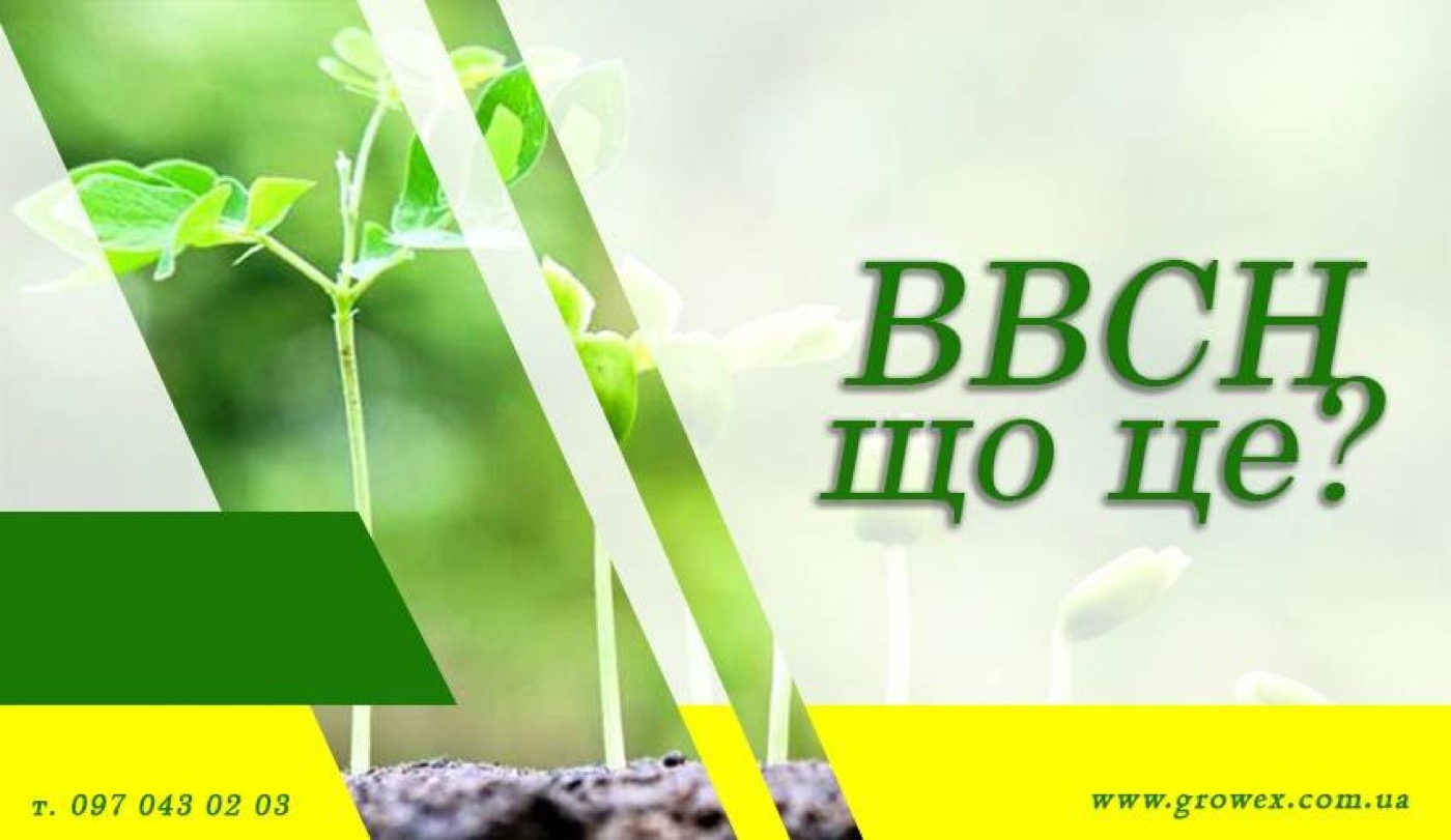 Що таке BBCH ?
