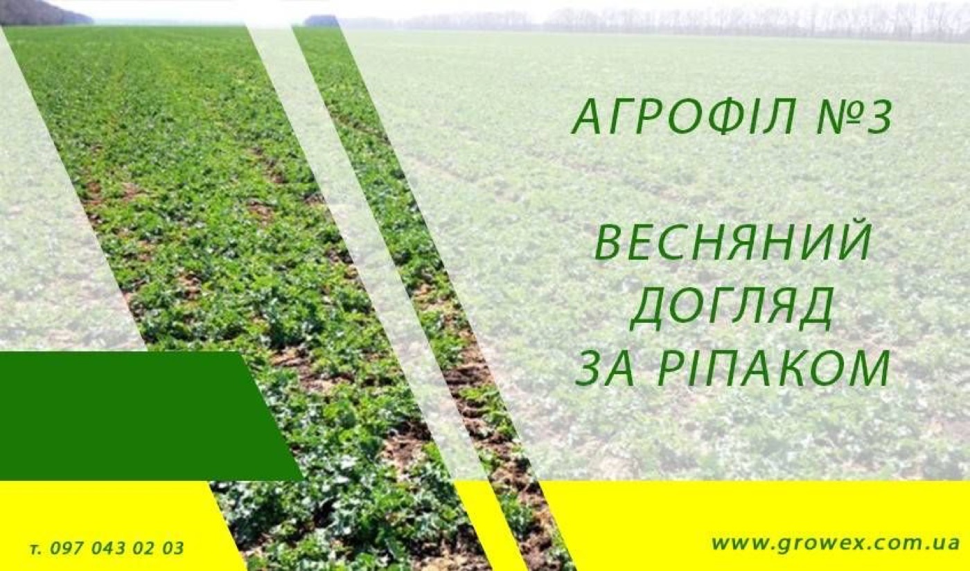АгроФіл №3 Весняний догляд за ріпаком