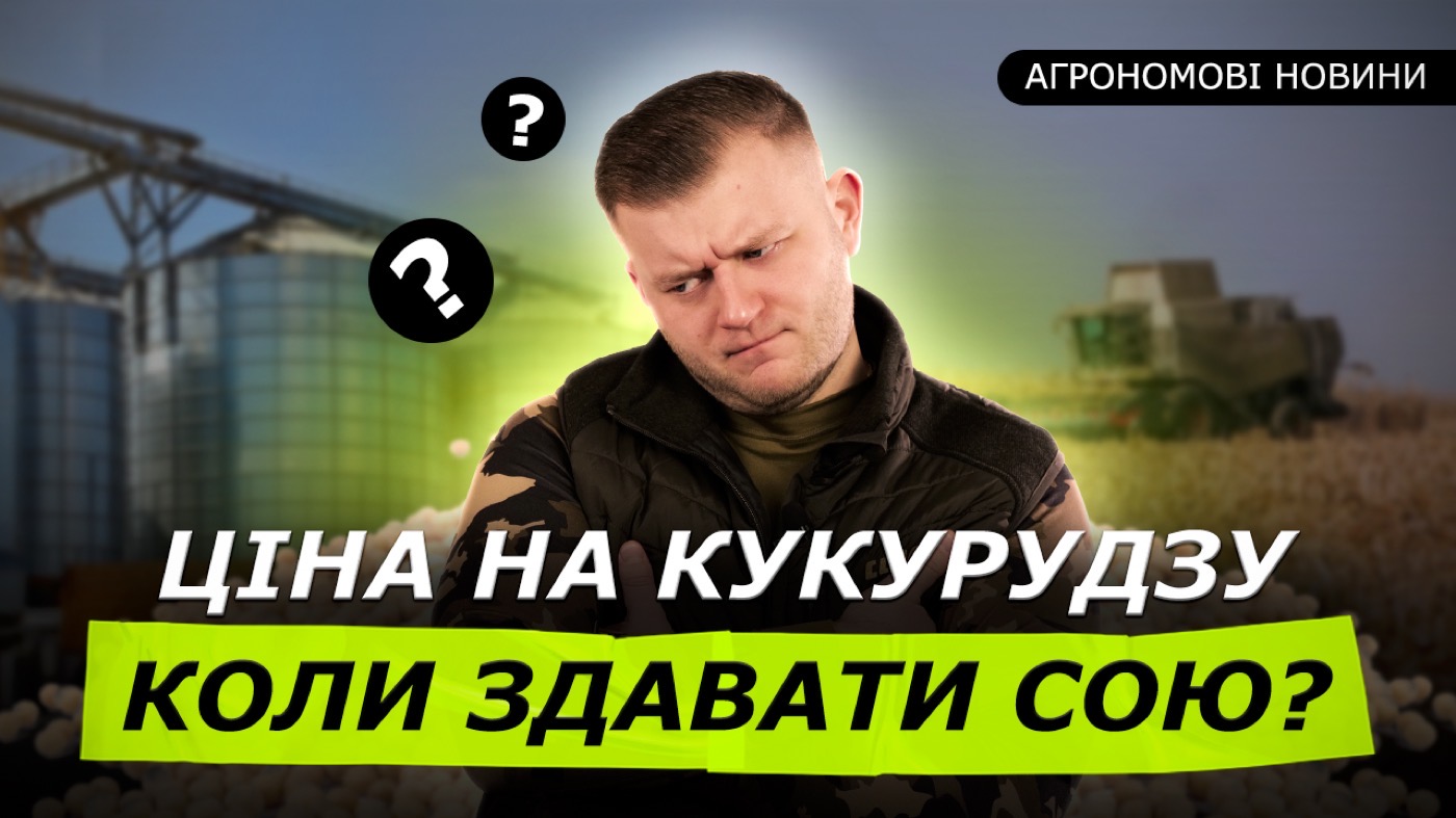 Компенсації для фермерів. Коли здавати урожай? Експорт зерна в ЄС зростає