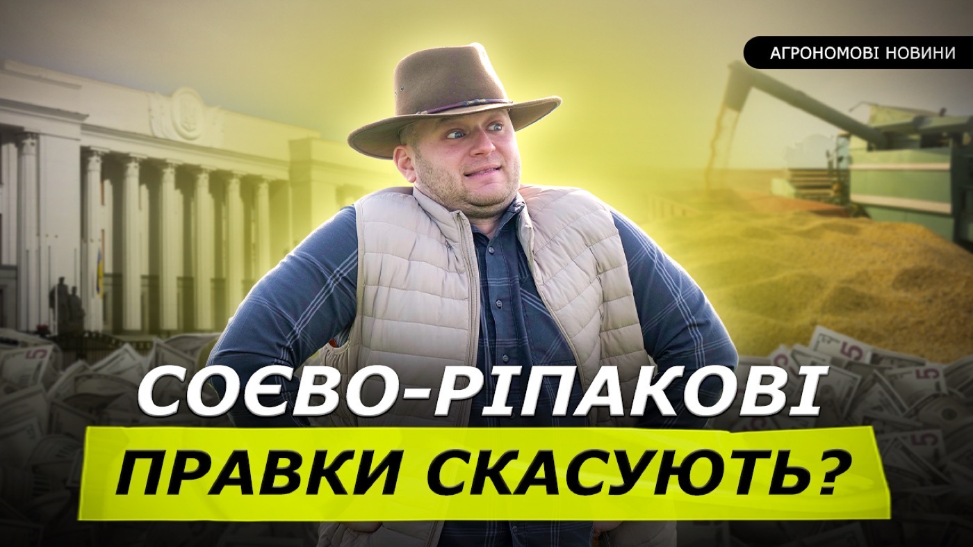 ЦІНА НА СОЮ ПАДАЄ, МИТО ВІДМІНЯЮТЬ! НЕДОБІР КУКУРУДЗИ В ПОРТУ. ПШЕНИЦЯ ЙДЕ В ТУРЕЧЧИНУ