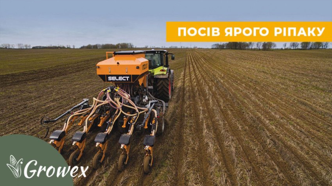 Як і коли сіяти ярий ріпак?