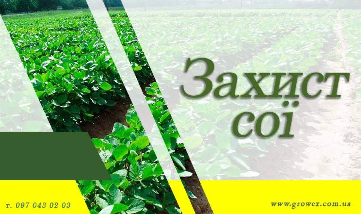 АгроНЯНЯ#6 Захист сої без Раундапу