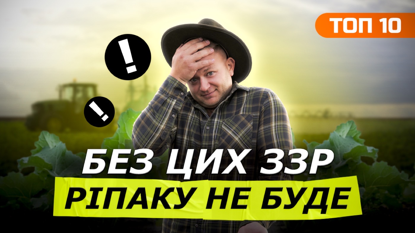 Топ-10 препаратів для ріпаку: без чого не буде врожаю