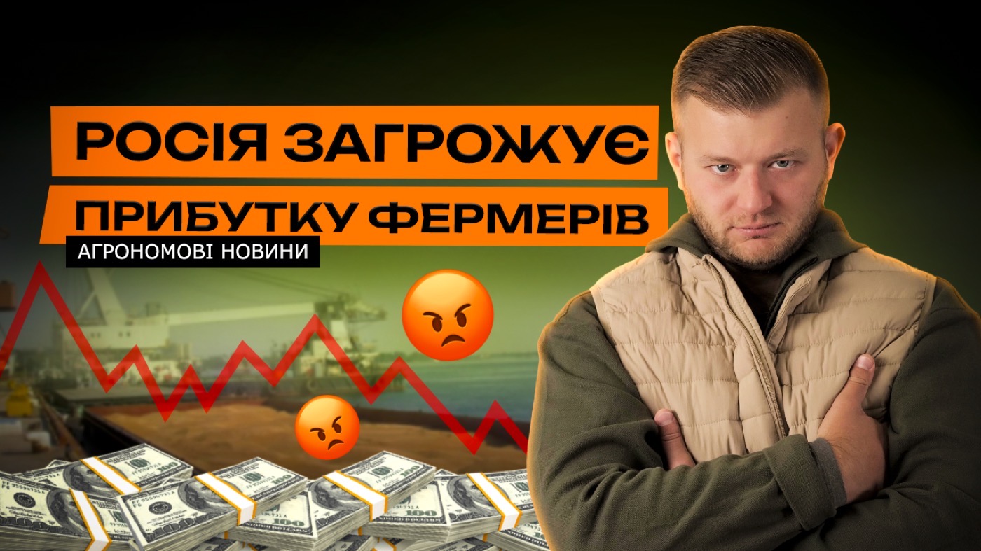 Експорт українського зерна морем під ударом! Зерновий ринок давить московитів. Агрономові Новини