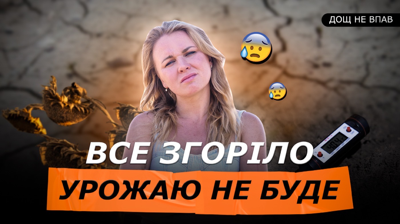 ПІВДЕНЬ БЕЗ ВРОЖАЮ - ВСЕ ГОРИТЬ🥵 ЧОГО ЧЕКАТИ ПО СОНЯШНИКУ І КУКУРУДЗІ? ПОЛЯ ПЕРЕД ЖНИВАМИ